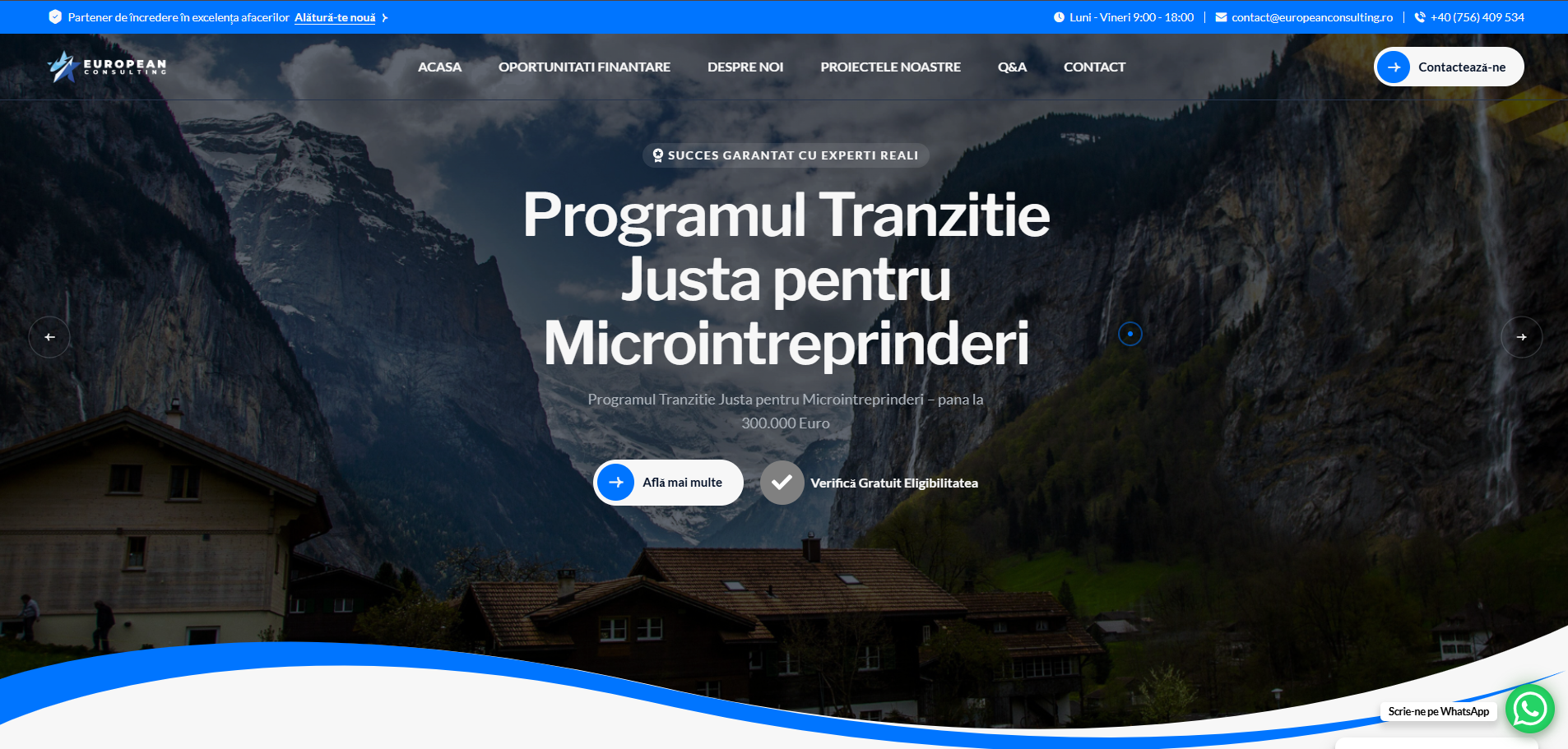 Consulting & Funding Platform Website